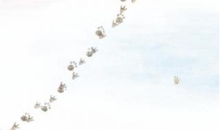 夏令营主题名称 夏令营主题名称